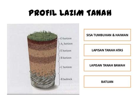 Jenis Jenis Tanah Pertanian My