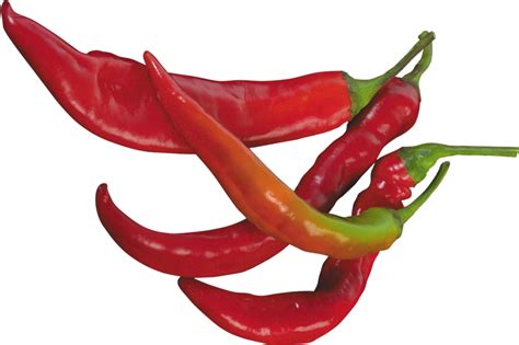 Red Chilli Pepper Png Clipart Png All Png All