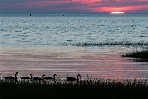 Springtime On Cape Cod Captain Freeman Inn