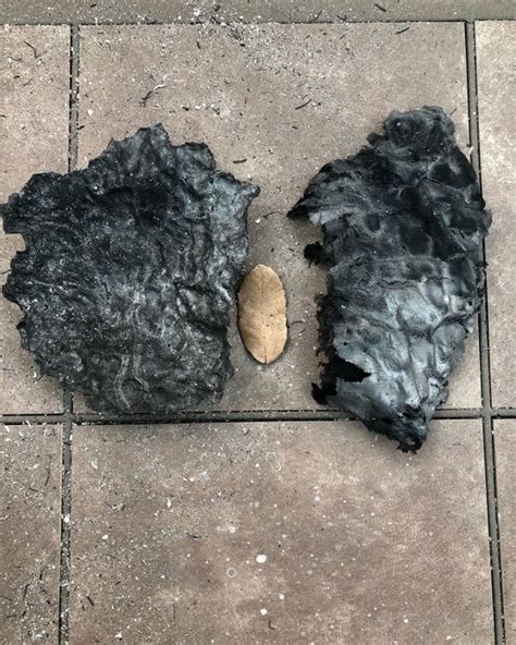 Most thunderstorms occur in the late afternoon. Massive chunks of ash fall from the sky across Santa Rosa ...
