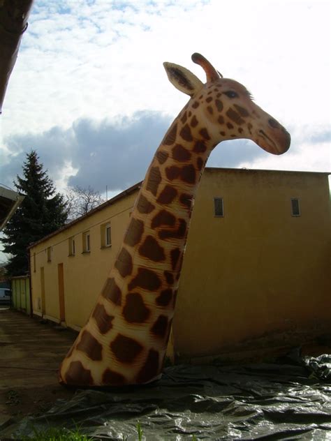 People will do a double take when they glance at your patio. Inflatable giraffe | AIR SHAPE