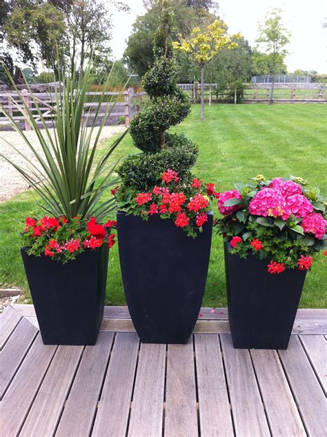 Colourful Pots Flower Pots Outdoor Patio Flowers Potted Plants Outdoor