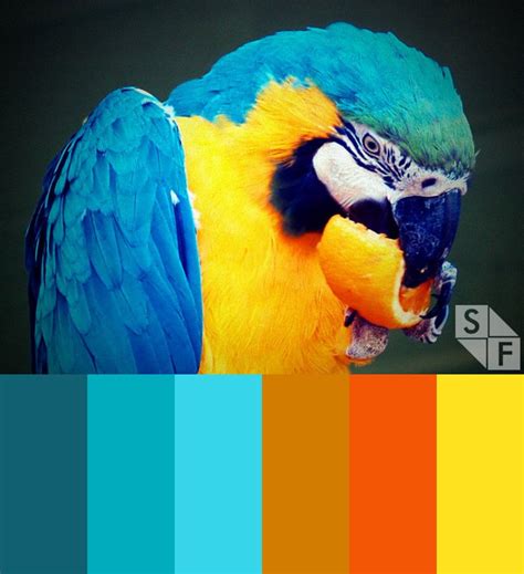 If you decide to mix and match two or three colors at a time. ShiftFWD - Coming Soon | Exterior house paint color ...