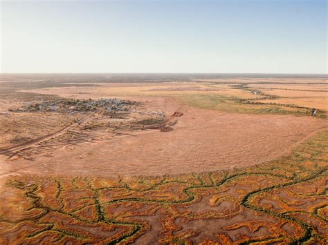 Channel Country Is Teeming With Colour With Wet Summer Forecast To