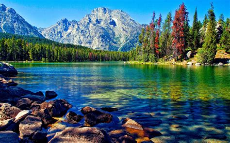 Lago naturaleza bosque | Paisajes, Paisajes hermosos del ...