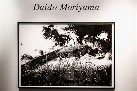 A Look Inside The New Daid Moriyama Exhibit In London Exhibition