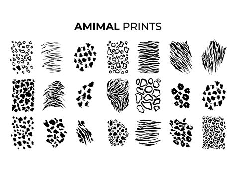 Safari Animal Prints Animal Skin Safari Svg African Clipart Etsy