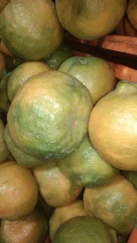 A Grade Maharashtra Fresh Orange At Rs 45kg In Nagpur Id 23076529973