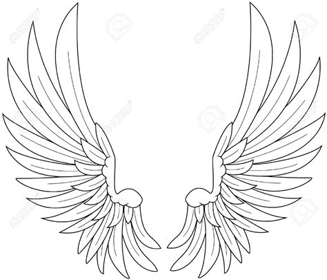 Draw thin long curved lin for the shaft ie, the middle line of the feather. Feather Wings Drawing at GetDrawings | Free download