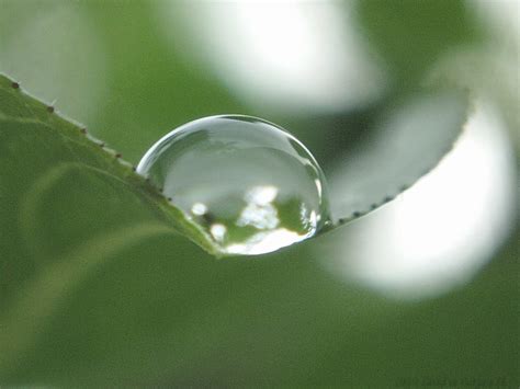 Near to Nature: Magnified Raindrops
