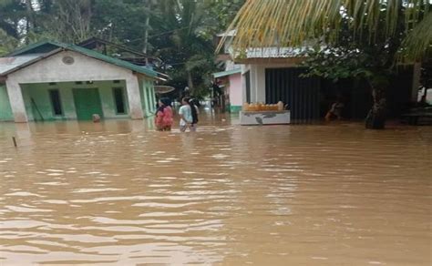 Sungai Kuantan Meluap, Seratusan Hektar Sawah di Kuansing Terendam Banjir