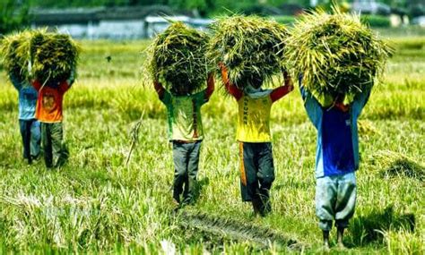 Kegiatan ekonomi juga dapat diartikan sebagai sebuah usaha yang dilakukan manusia untuk mencapai tingkatan kesejahteraan dan kemakmuran dalam. Pengaruh Letak Geografi Indonesia dan Pengertiannya - Balubu