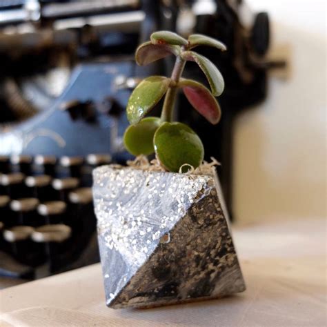 Check spelling or type a new query. geometric glitter concrete succulent planter by badger and ...