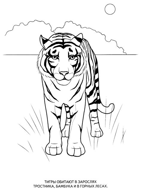 Easy and free to print wild animal coloring pages for children. Wild animals coloring pages for kids to print for free