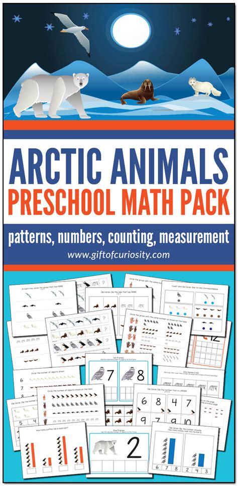 Arctic Animals Preschool Math Pack - Gift of Curiosity