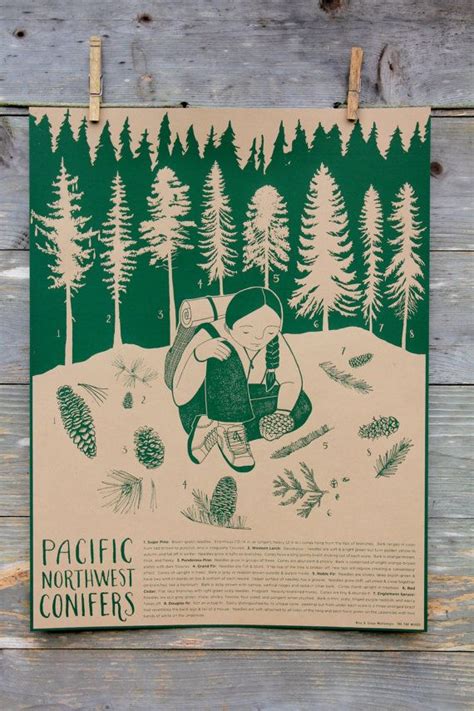 Pacific Northwest Trees Poster Monika Reddy