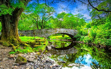 Search free green stone wallpapers on zedge and personalize your phone to suit you. Summer Landscape Stone Most.mala Calm River Stones Trees ...