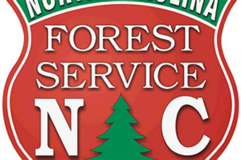 Nc Forest Service Tree Seedlings To Go On Sale July 5 Nc Agriculture