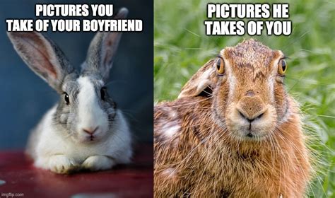 10 Funny Rabbit Memes Guaranteed To Make You Laugh Pet Keen
