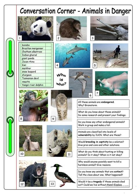 Conversation Corner Animals In Danger English Esl Worksheets