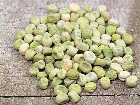 Photo Of The Seeds Of English Pea Pisum Sativum Laxtons Progress