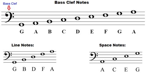 Letter Names Of Notes On A Bass Clef Staff Diagram Quizlet