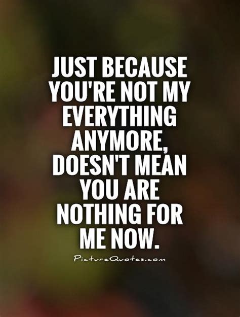 Just Because Youre Not My Everything Anymore Doesnt Mean You