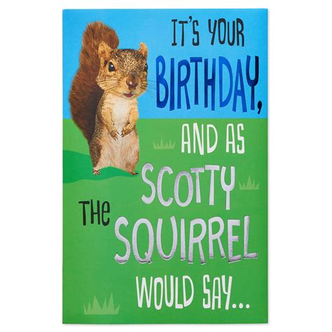 American Greetings Funny Squirrel Birthday Card With Foil