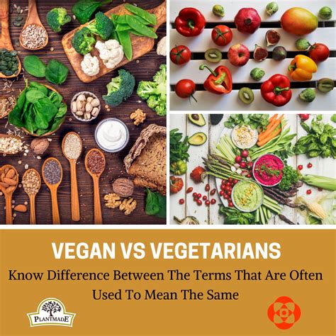 Vegan Vs Vegetarian The Difference By Poonam Gupta Plantmade Medium