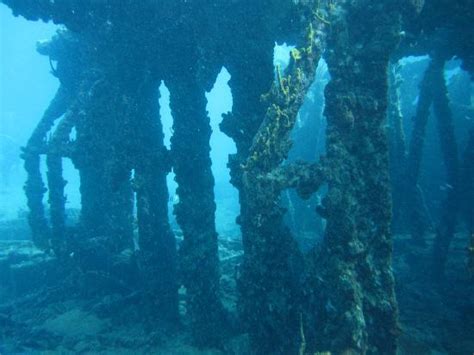 Scuba Diving Navy Barges Saint Thomas Us Virgin Islands