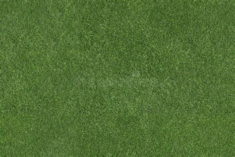 Detailed Aerial View Of Green Grass Tiled Texture Stock Photo Image