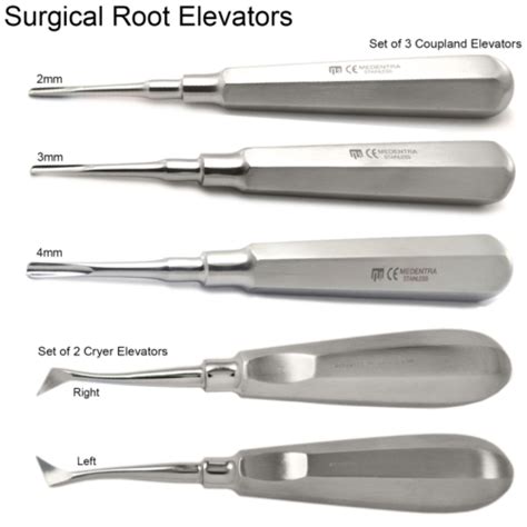 Dental Tooth Extraction Coupland Elevators Root Extracting Forceps Lab Tool EBay