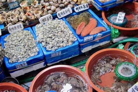 Jagalchi Fish Market The Biggest Seafood Market In Korea Kulture Kween