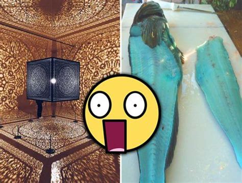 Fascinating Shots Of Things Like Youve Never Seen Them Before 29
