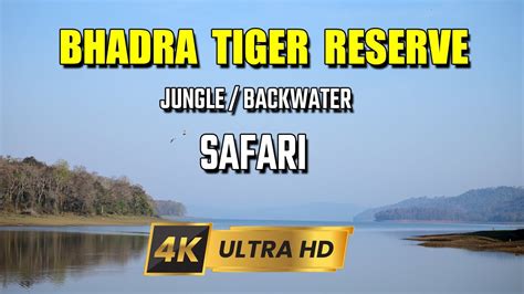 Bhadra Wildlife Sanctuary And Tiger Reserve Jungle Safari Boat