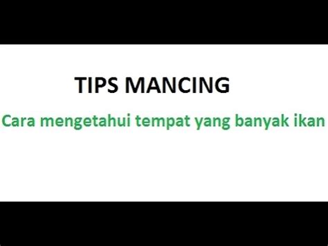 Jenis bom umpan yang paling cocok bisa menggunakan bekatul. Cara mengetahui tempat yang banyak ikan - YouTube
