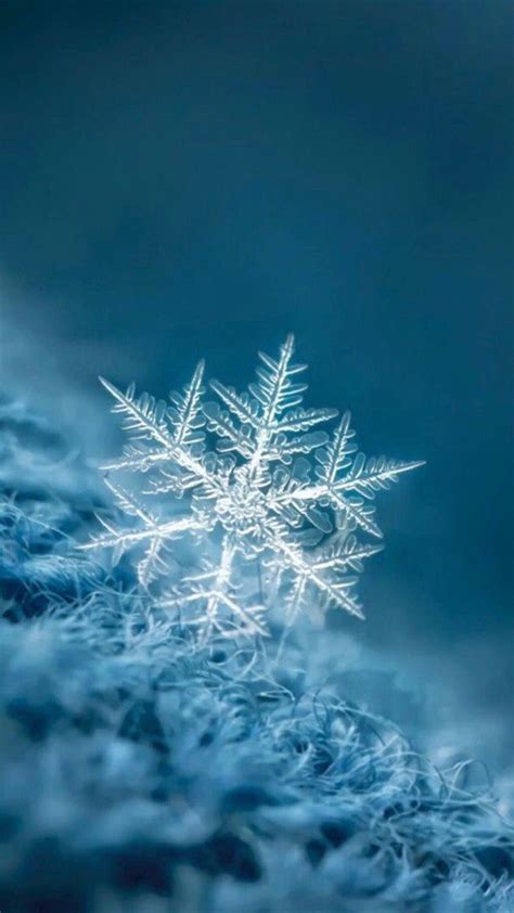 Красивая Зимняя Картинка На Телефон Заставку Telegraph