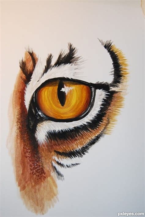 The Tigers Eye Is Painted With Colored Pencils