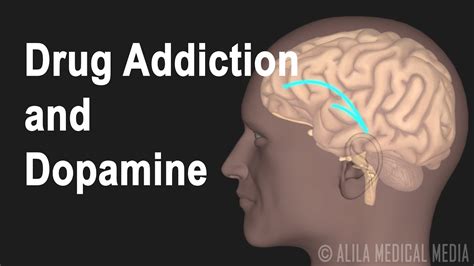 Mechanism Of Drug Addiction In The Brain Animation