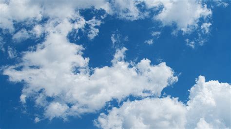 Ein weißkopfseeadler fliegt in großer höhe am himmel und sucht beute. Wolken am blauen Himmel #901 - Kostenloses Hintergrundbild