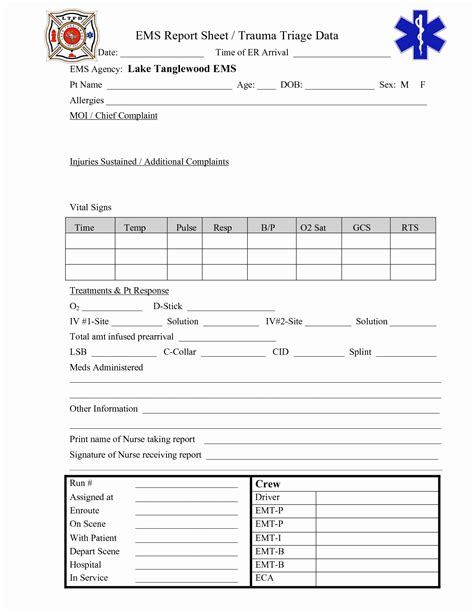 Ems Report Template