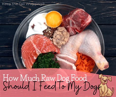 Is It Good To Feed Raw Meat To Dogs