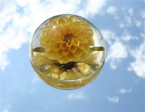 Dec 07, 2020 · i'm new to resin art but wanted to preserve some flowers for my mother on law, so i figured i'd give it a go. Preserving Flowers & Memories in Epoxy Resin - Pro Marine ...
