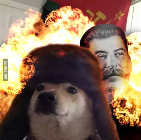 To The Guy That Introduced Russian Doge Meet Better Russian Doge 9gag