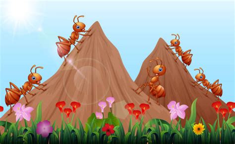 Termiten Hügel Illustrationen Und Vektorgrafiken Istock