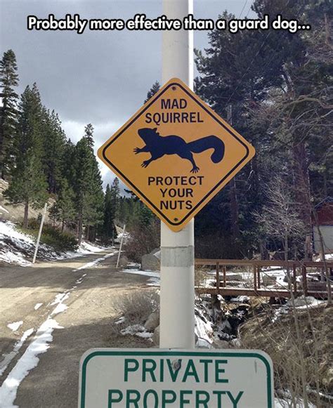 20 Funny Signs Spotted In The Wild