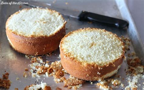 1st Birthday Smash Cake Tutorial Simple Vanilla Cake Recipe Recipe