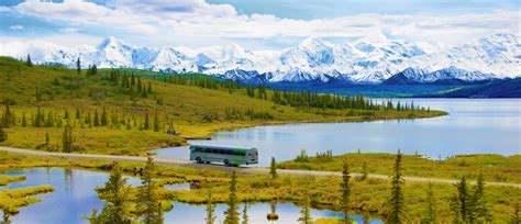 Alaska Bus Tours Denali National Park Anchorage Seward And More