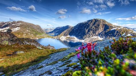 We present you our collection of desktop wallpaper theme: Landscape Mountains Grass And Spring Flowers Wallpaper Hd ...