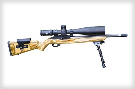 The Best 22 Rifles For Kids A Comprehensive Guide